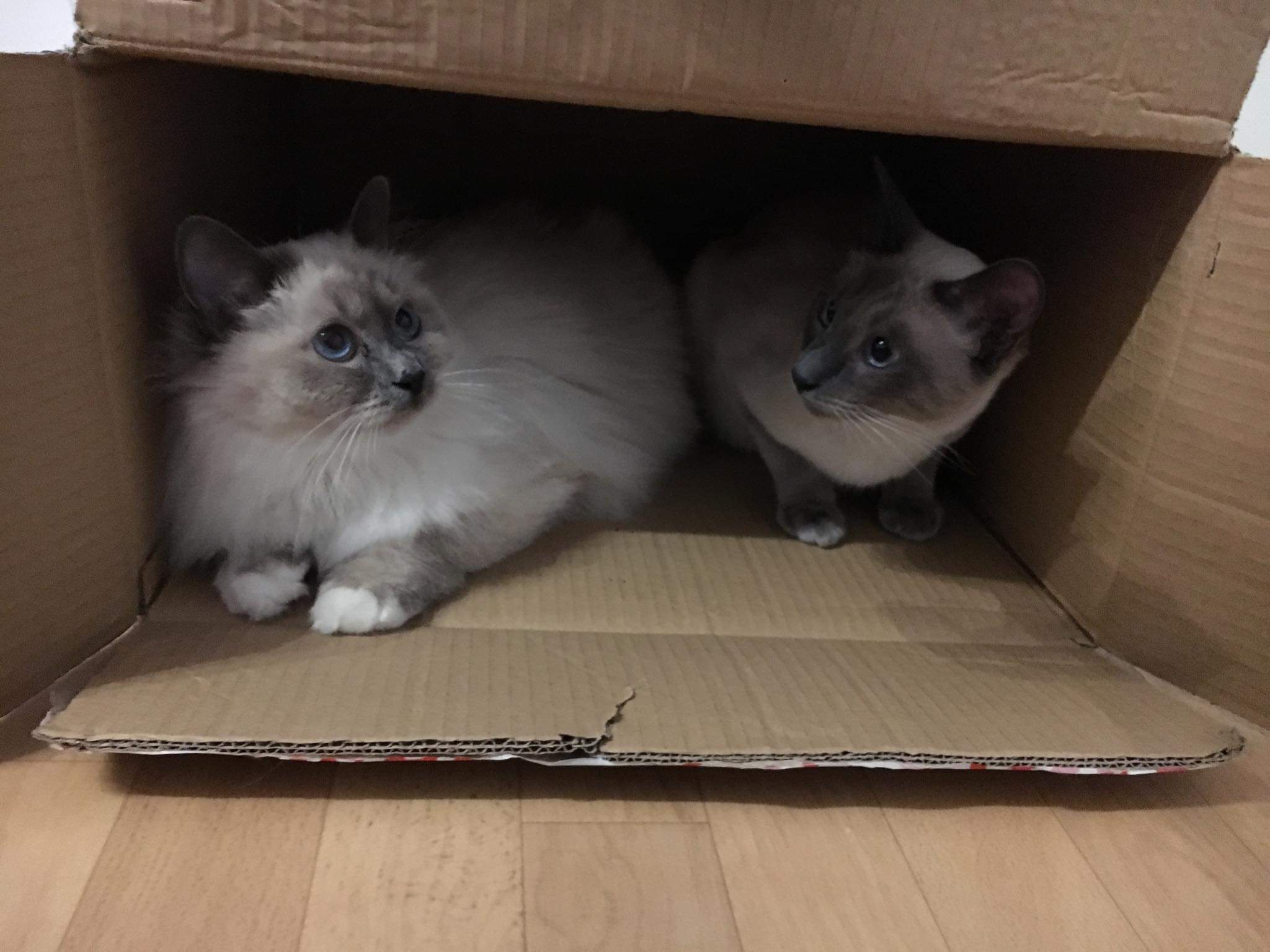 received_454484298418639