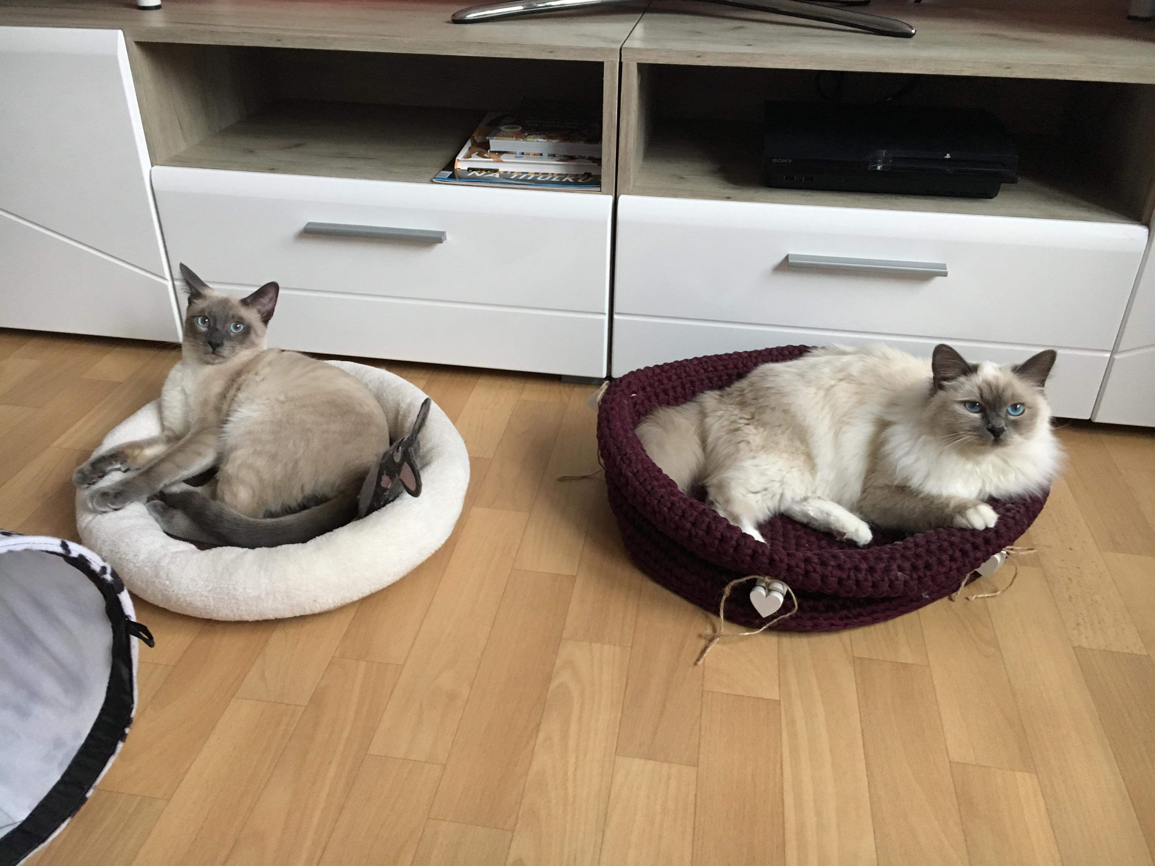 received_2249342112058400