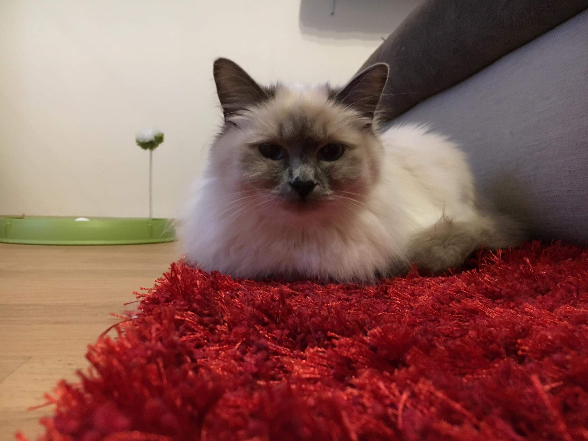 received_2347542985480164