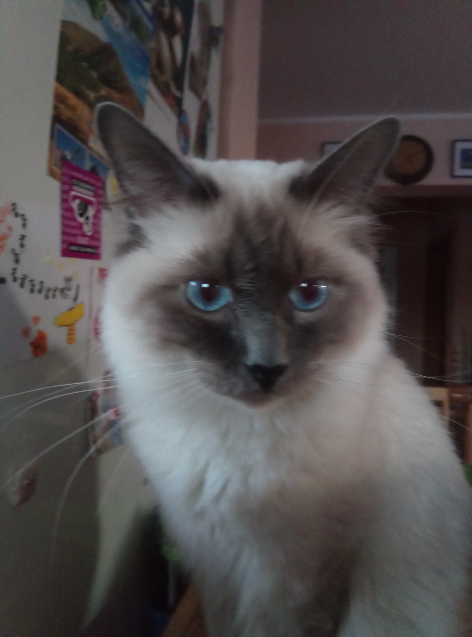 IMG-268d55411d57b9b73f3ef1d0756c7c29-V