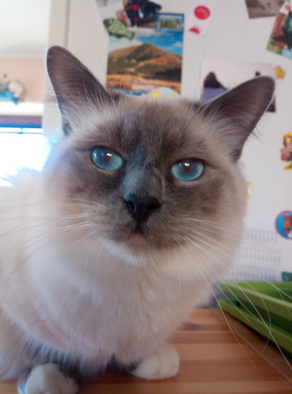 IMG-1964237a369c25dac7d20225930a8fd2-V