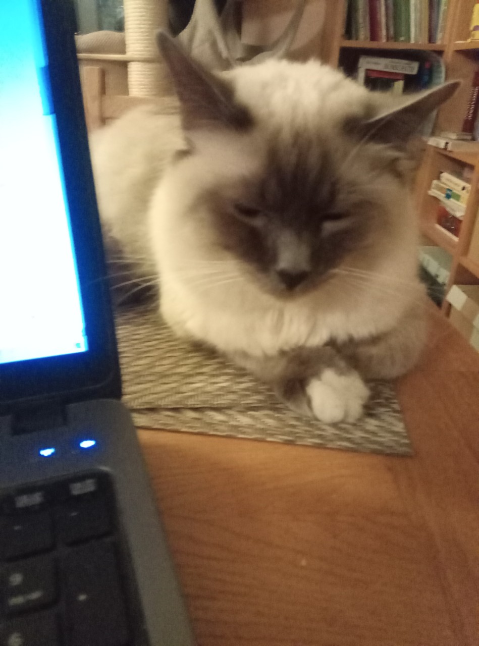 IMG-c6dc2622406b8754f1a5587be2178f44-V