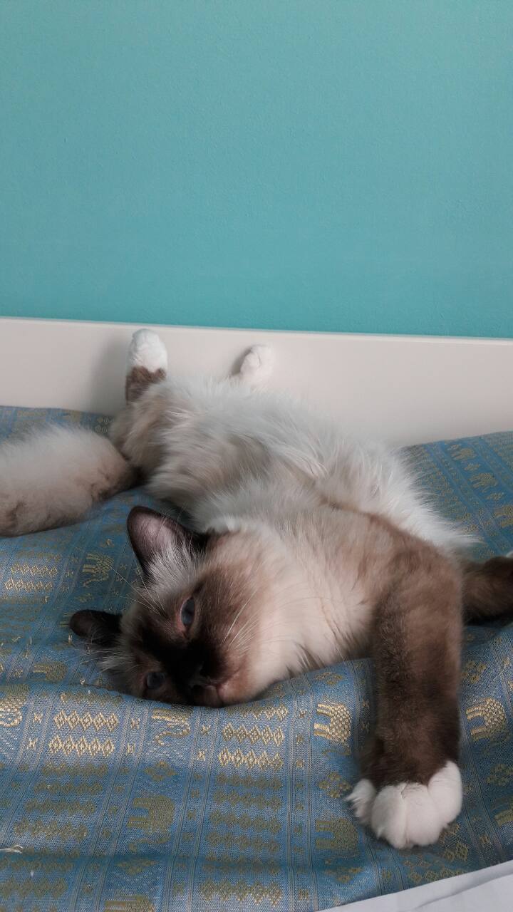 IMG-0802131c1d3c5b8bf3b282576dbffecf-V