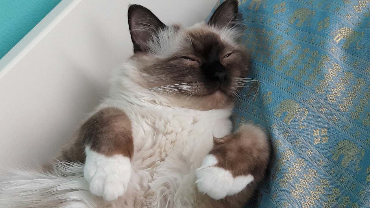 IMG-c1dd0bb92e8d3de1c9dc814d575cf960-V