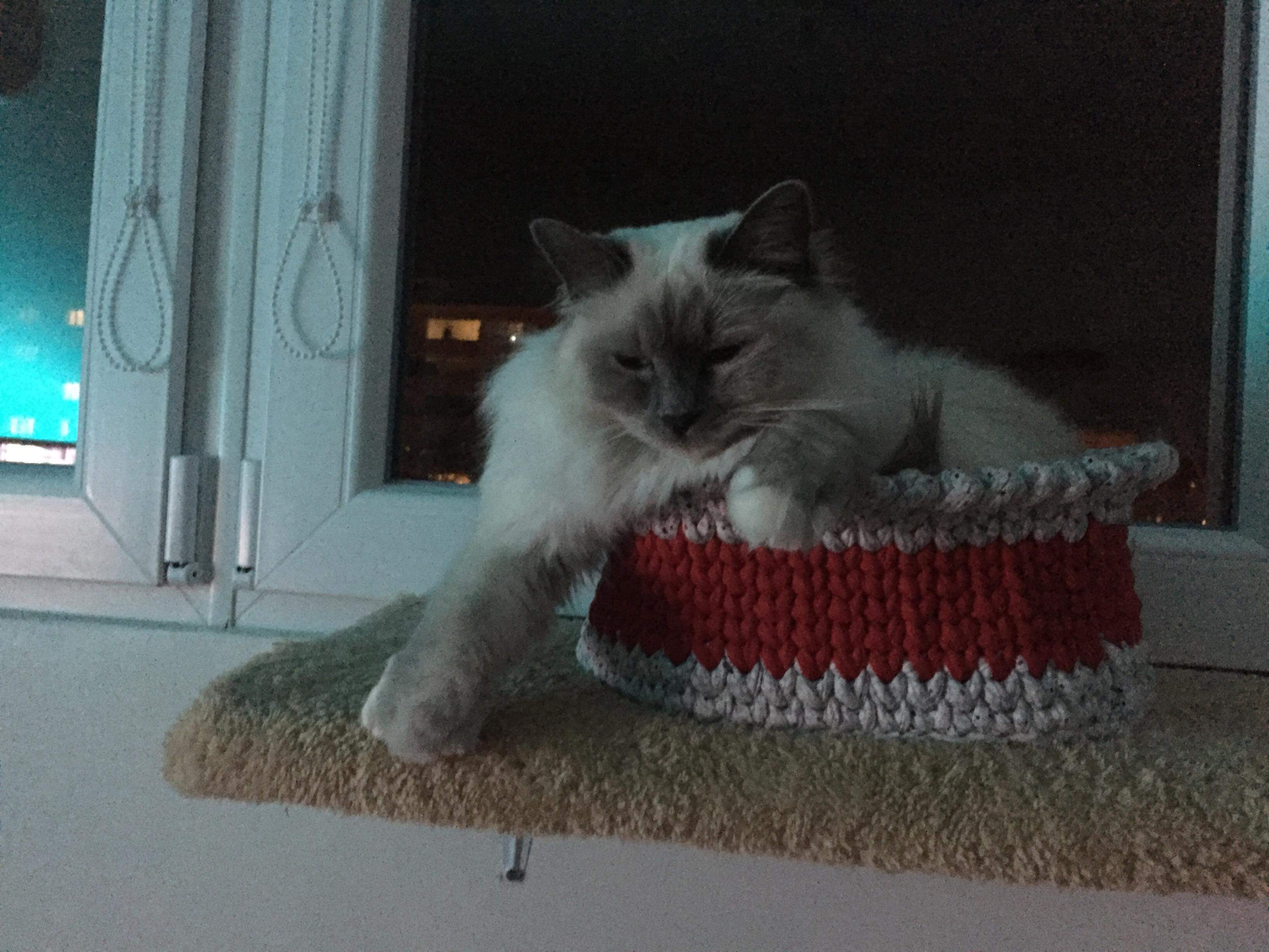 received_276853146591979