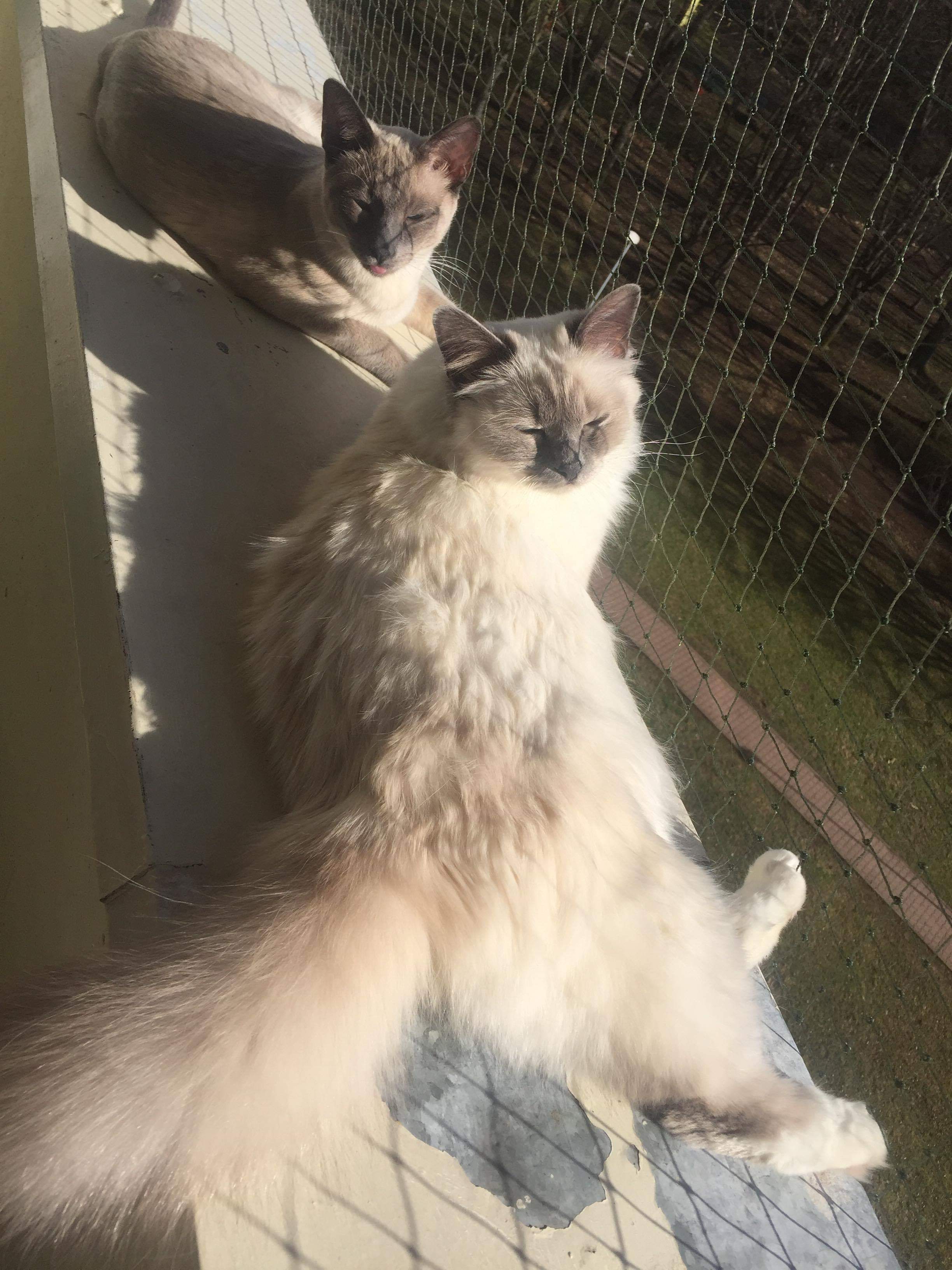 received_369617870545965