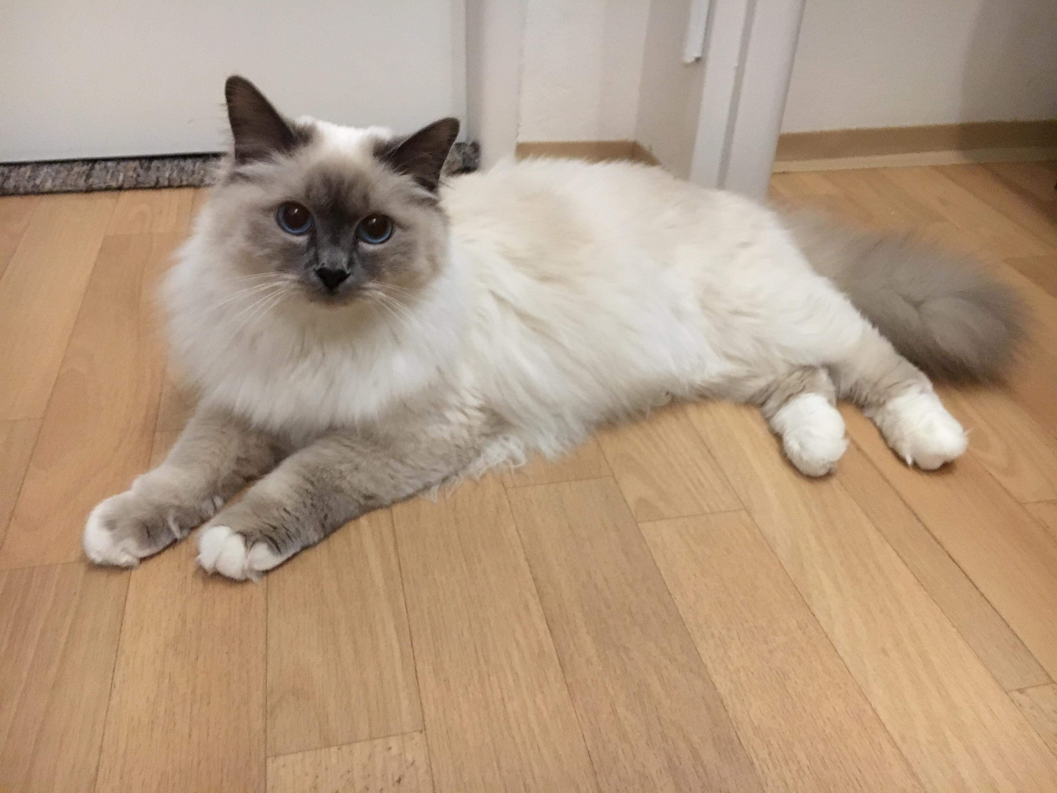 received_431919604015267