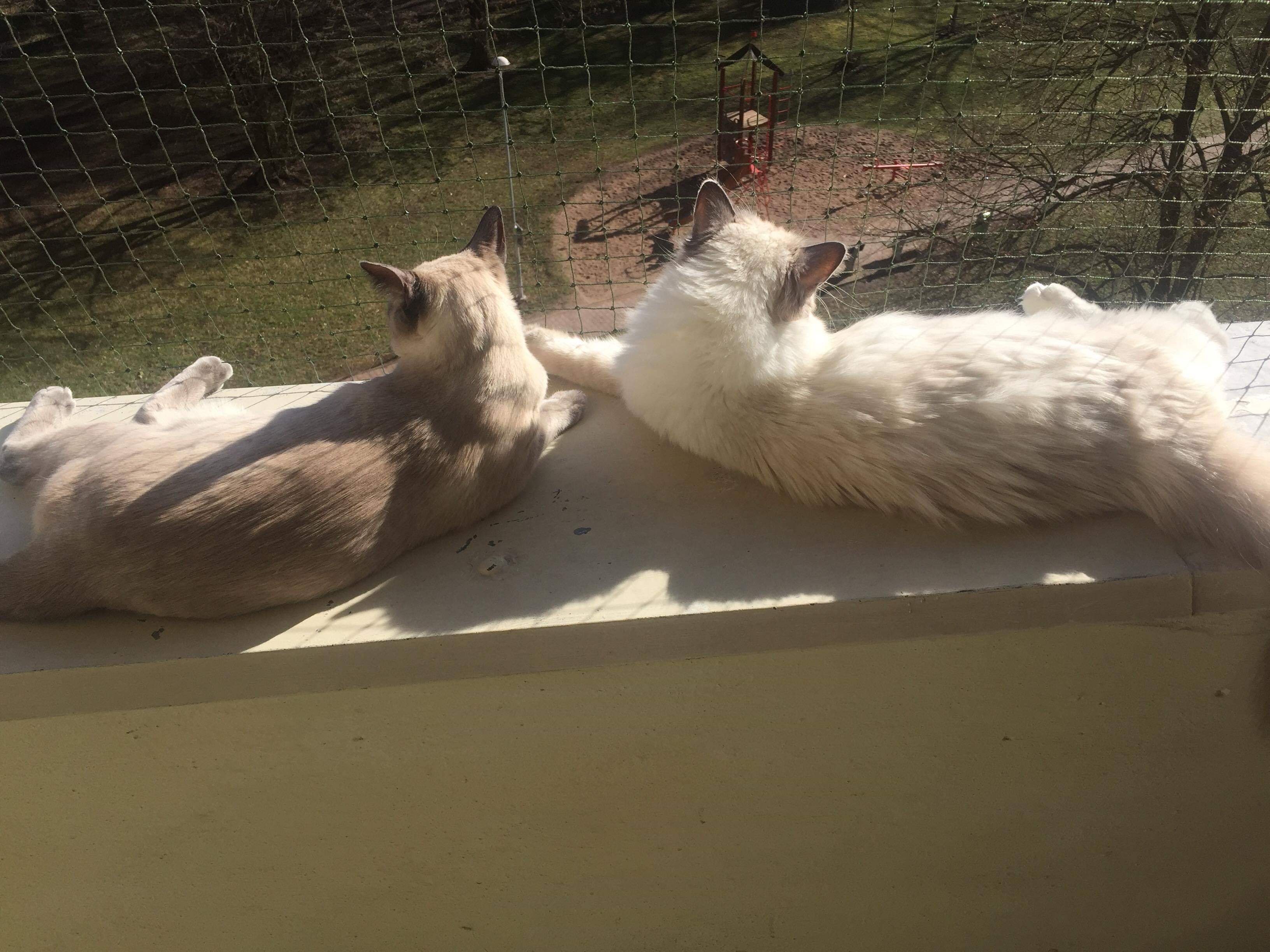 received_494829727716663