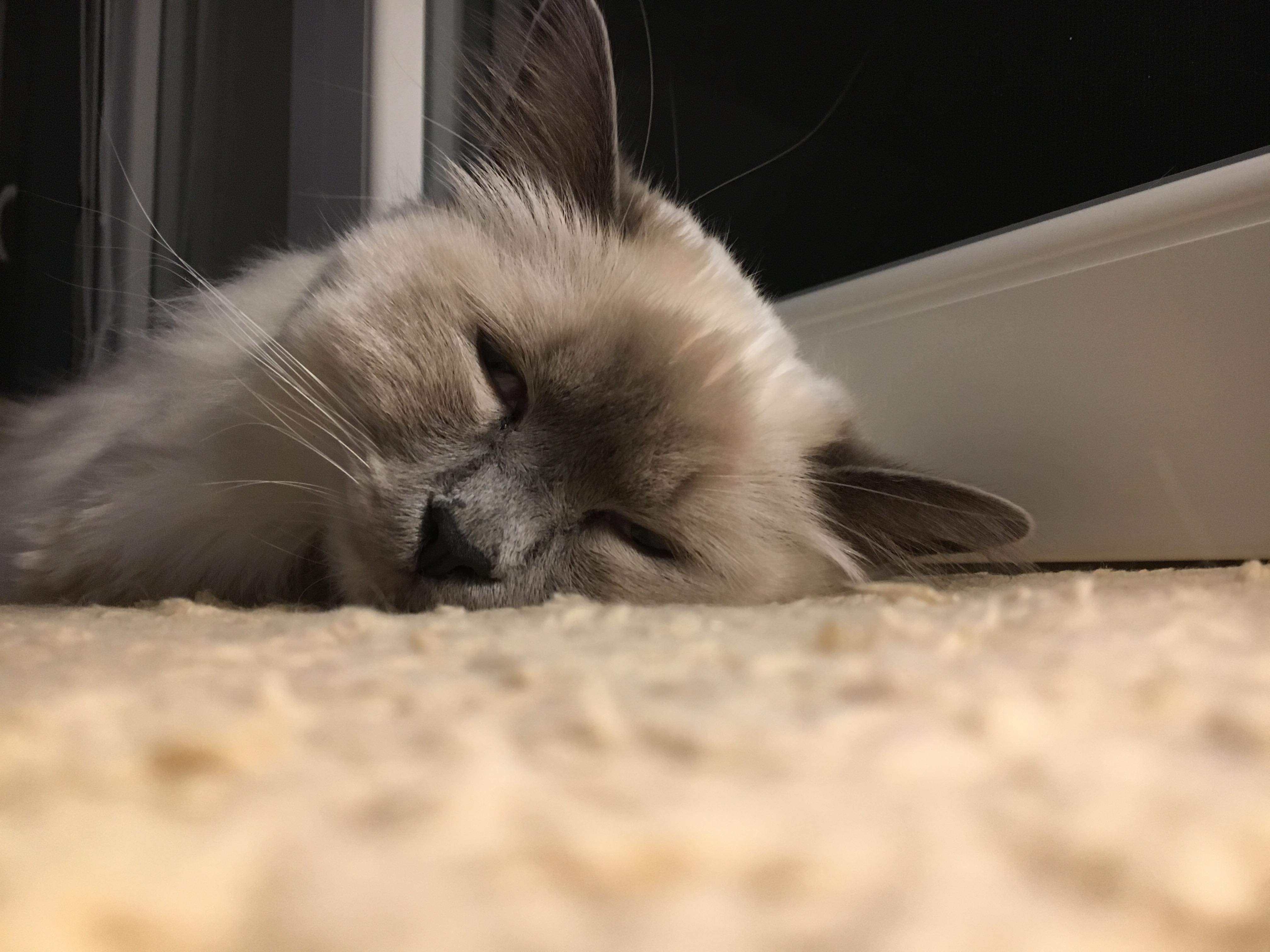 received_564759654030184