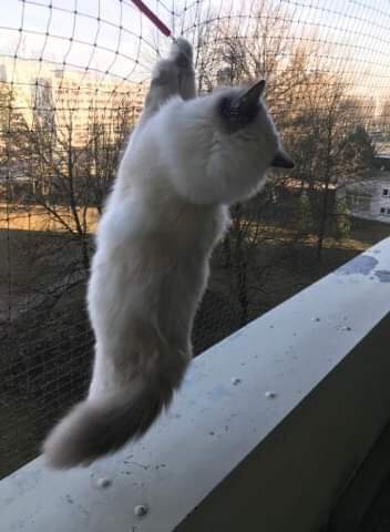 received_630652110697595