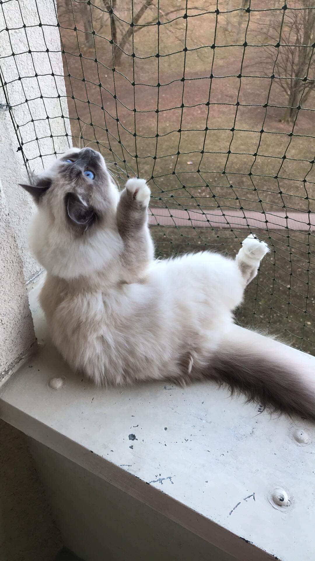 received_771984279844200