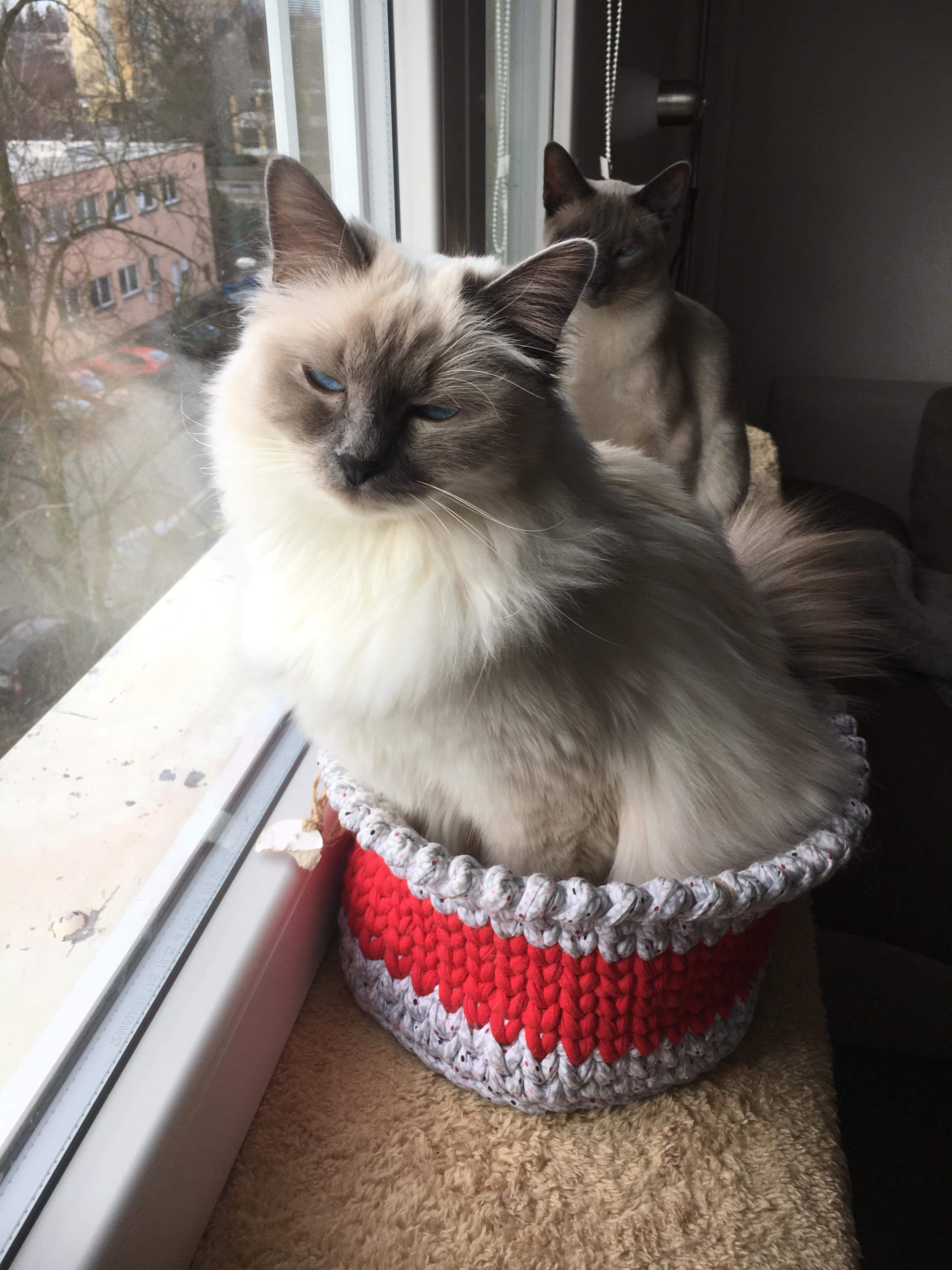 received_2244405582440420