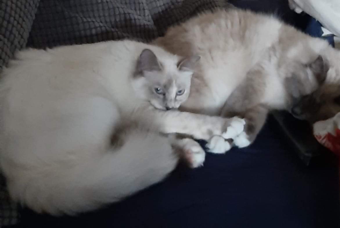 received_391723408321161