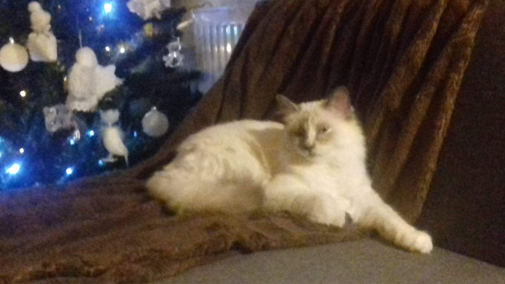 received_2060151067608114