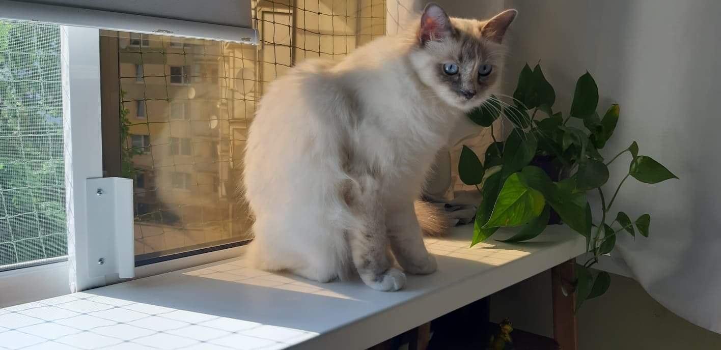 received_2396631577237725