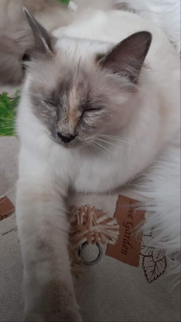 received_553412985181649