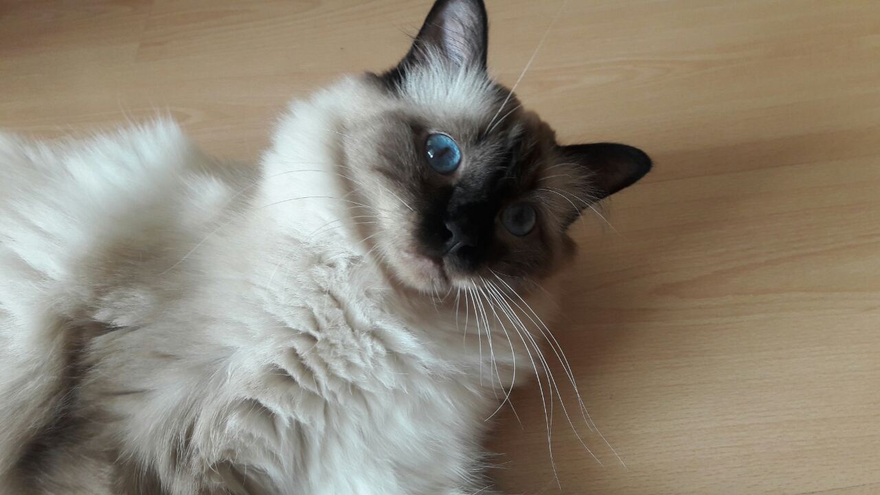 IMG-588b6b040122bc198513987324ff4b7e-V