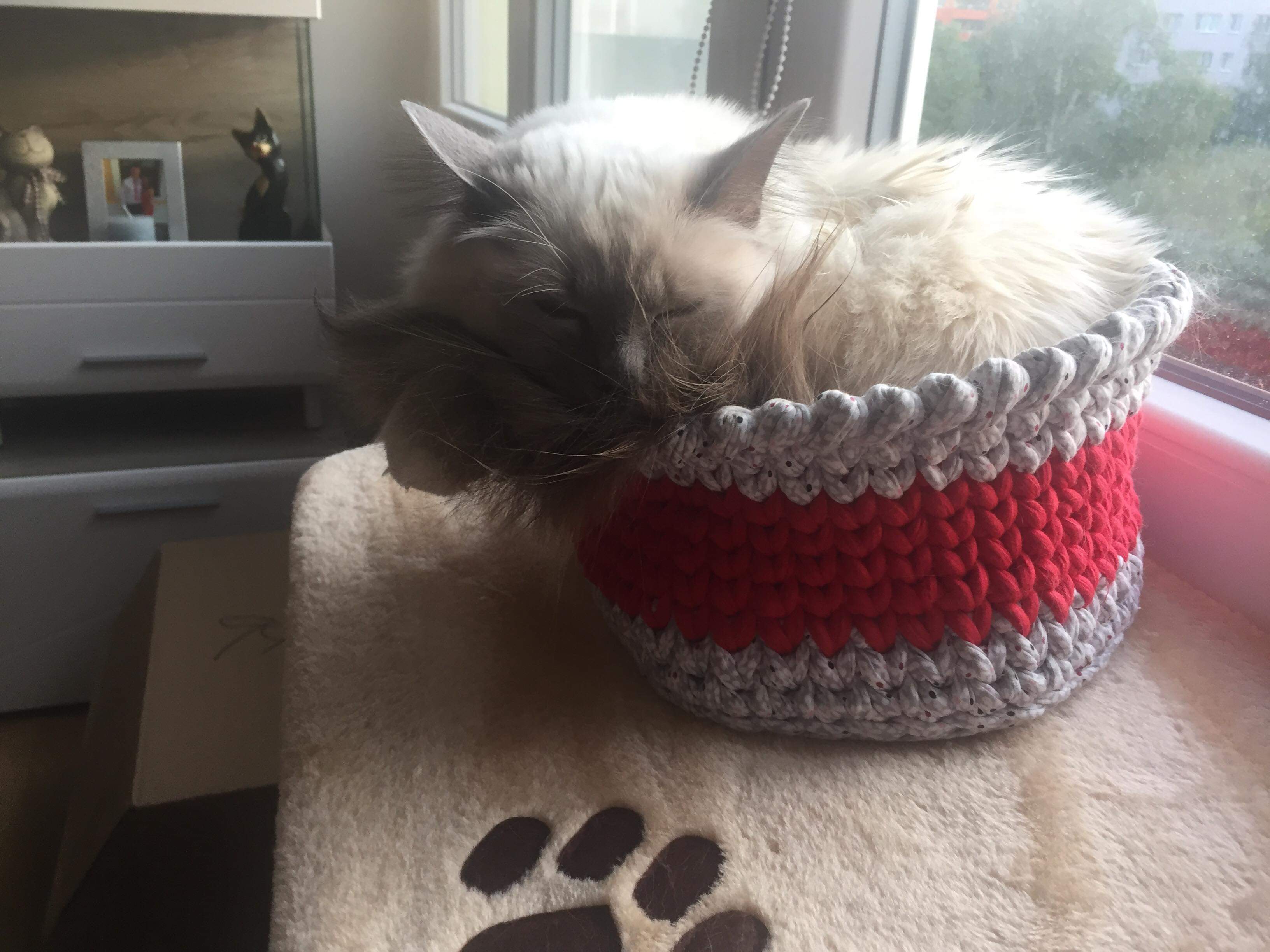 received_335993230449561