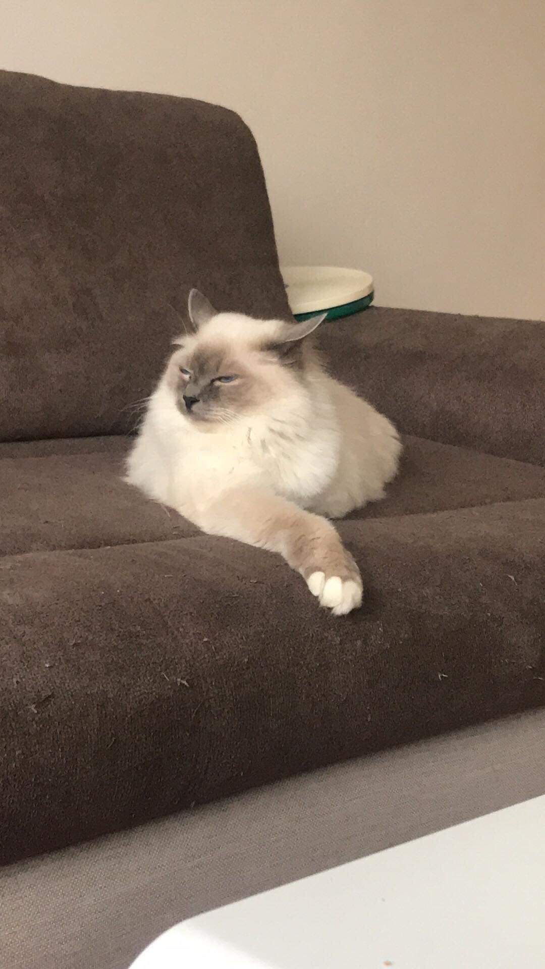 received_356974091624581