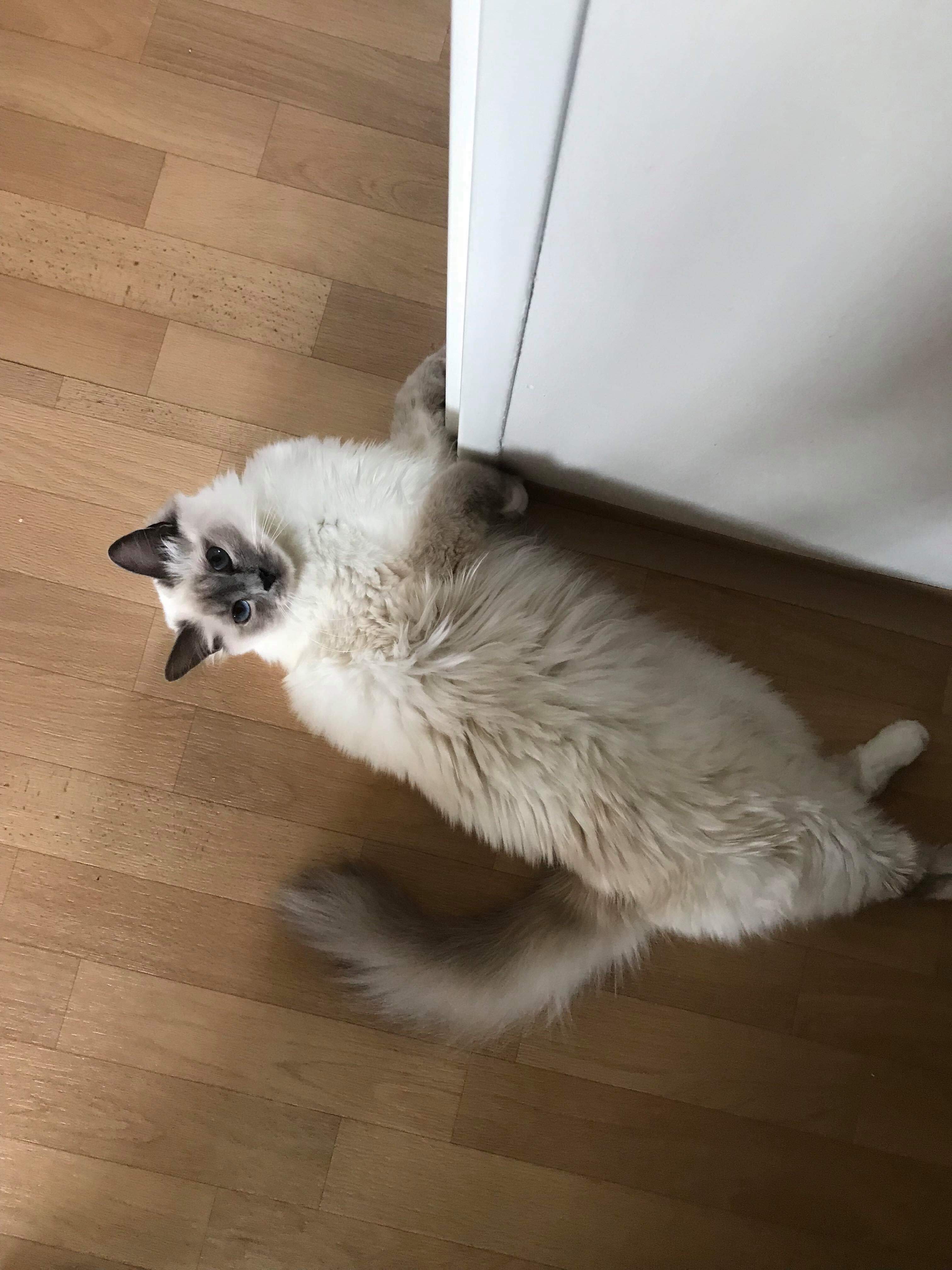 received_452653458803955