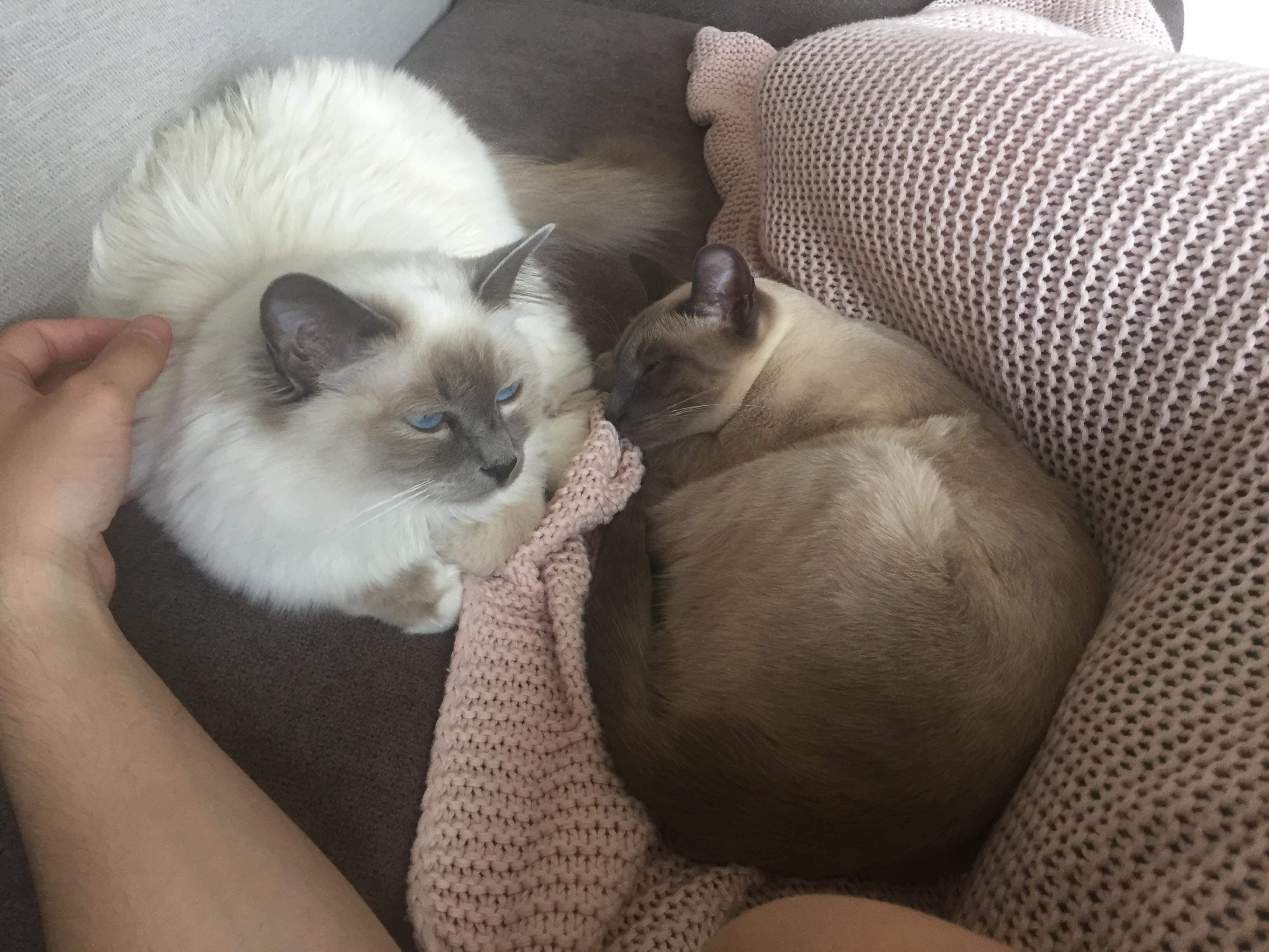 received_2199584780353576