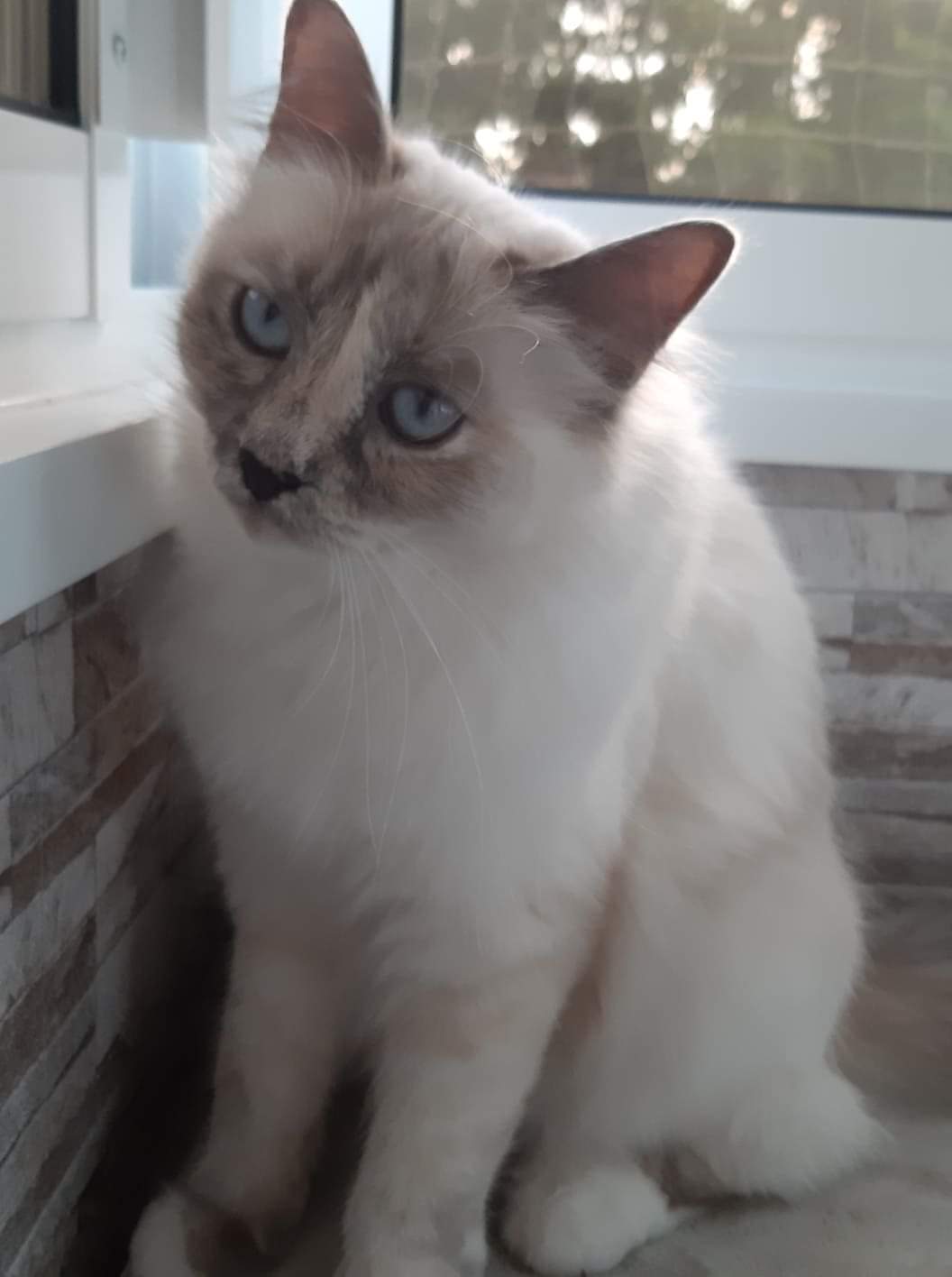 received_568752030618175