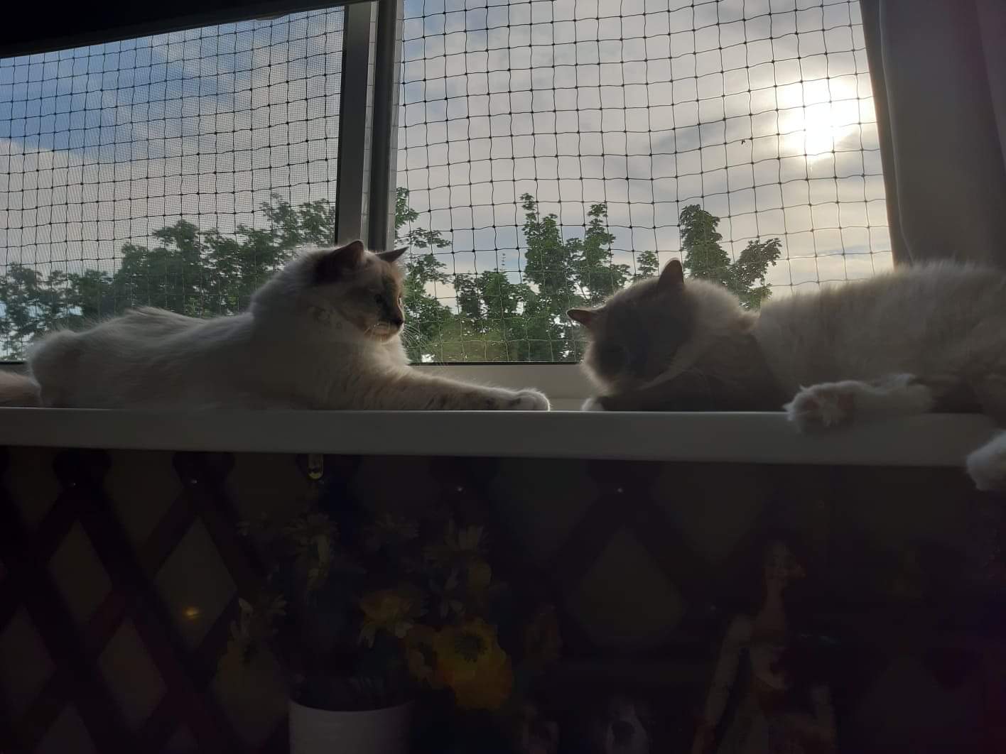 received_850343101991708