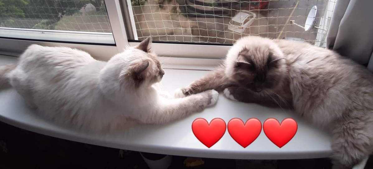 received_1937913512980382