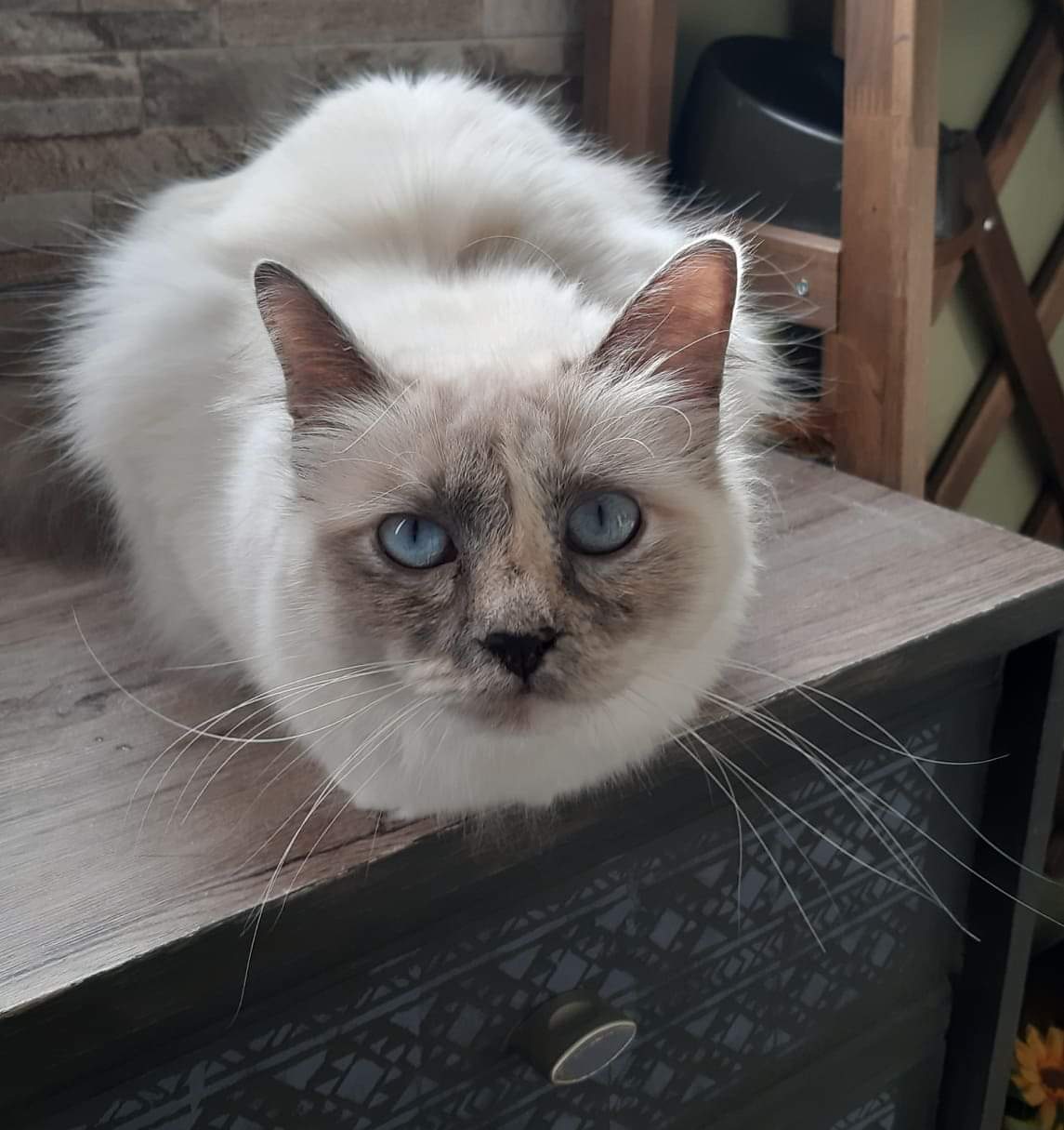 received_2376426012641835