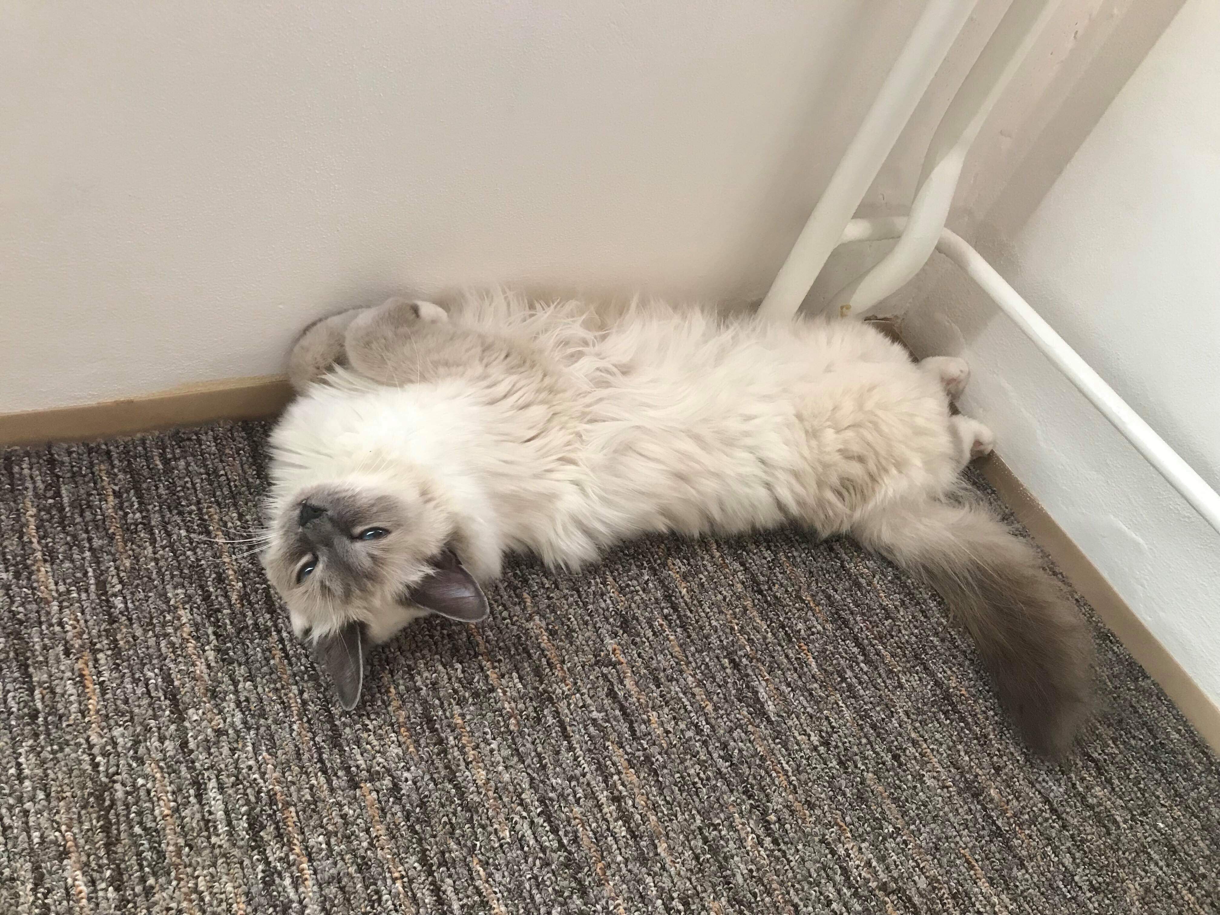 received_323442001908574