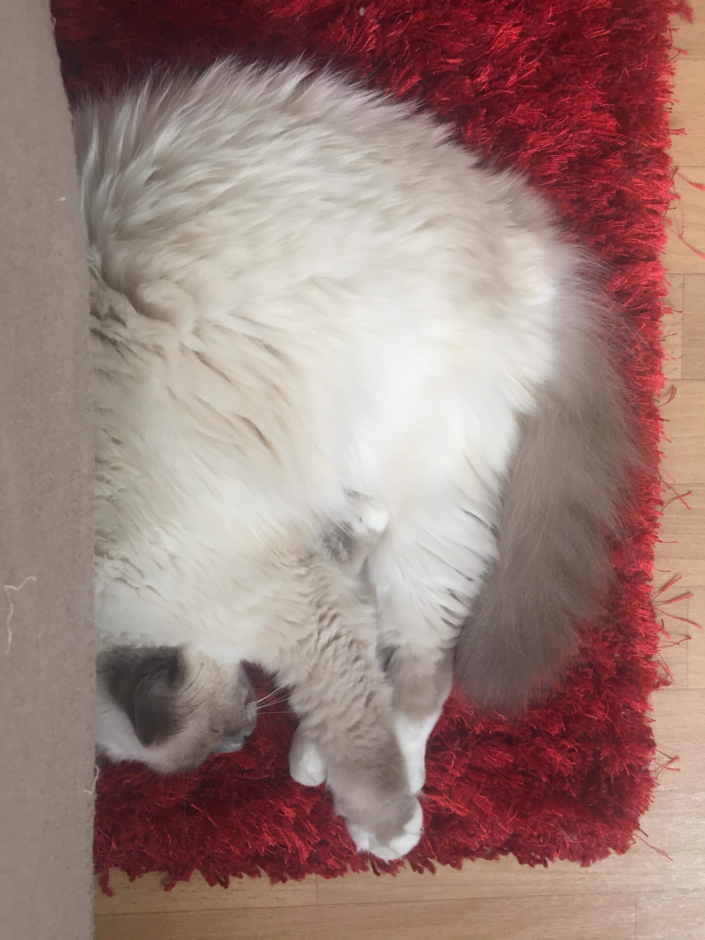 received_380701389464490