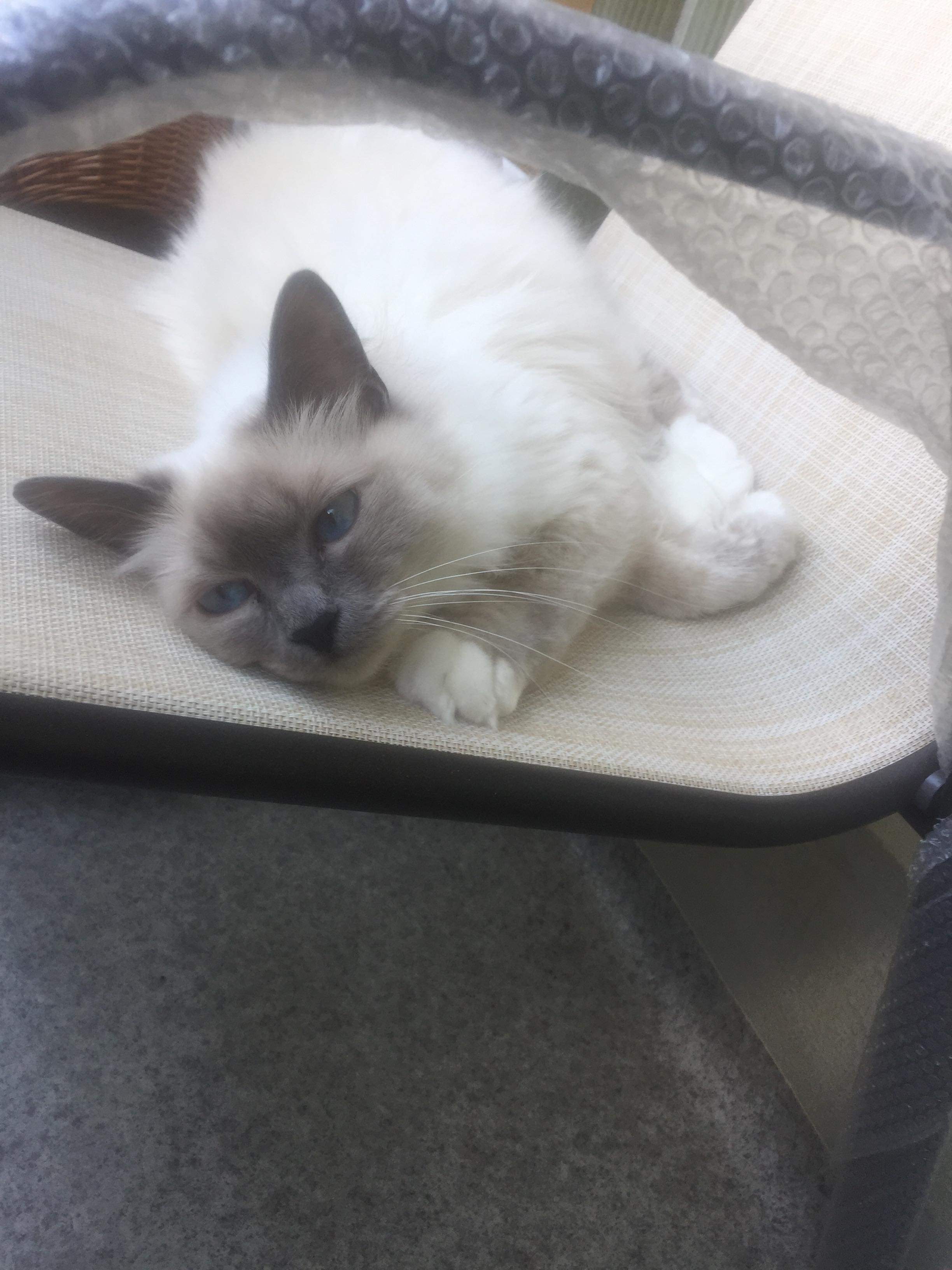 received_792897147770935