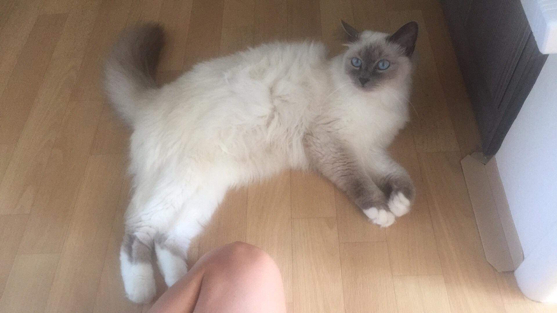 received_2542917899065380