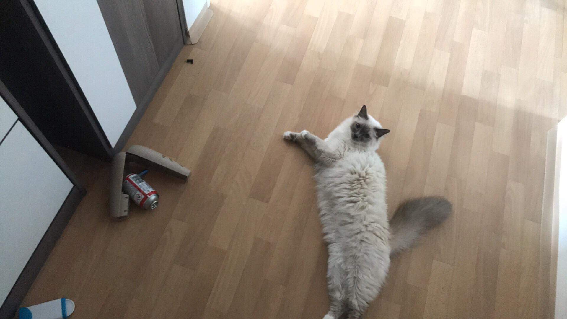 received_2813213308721159