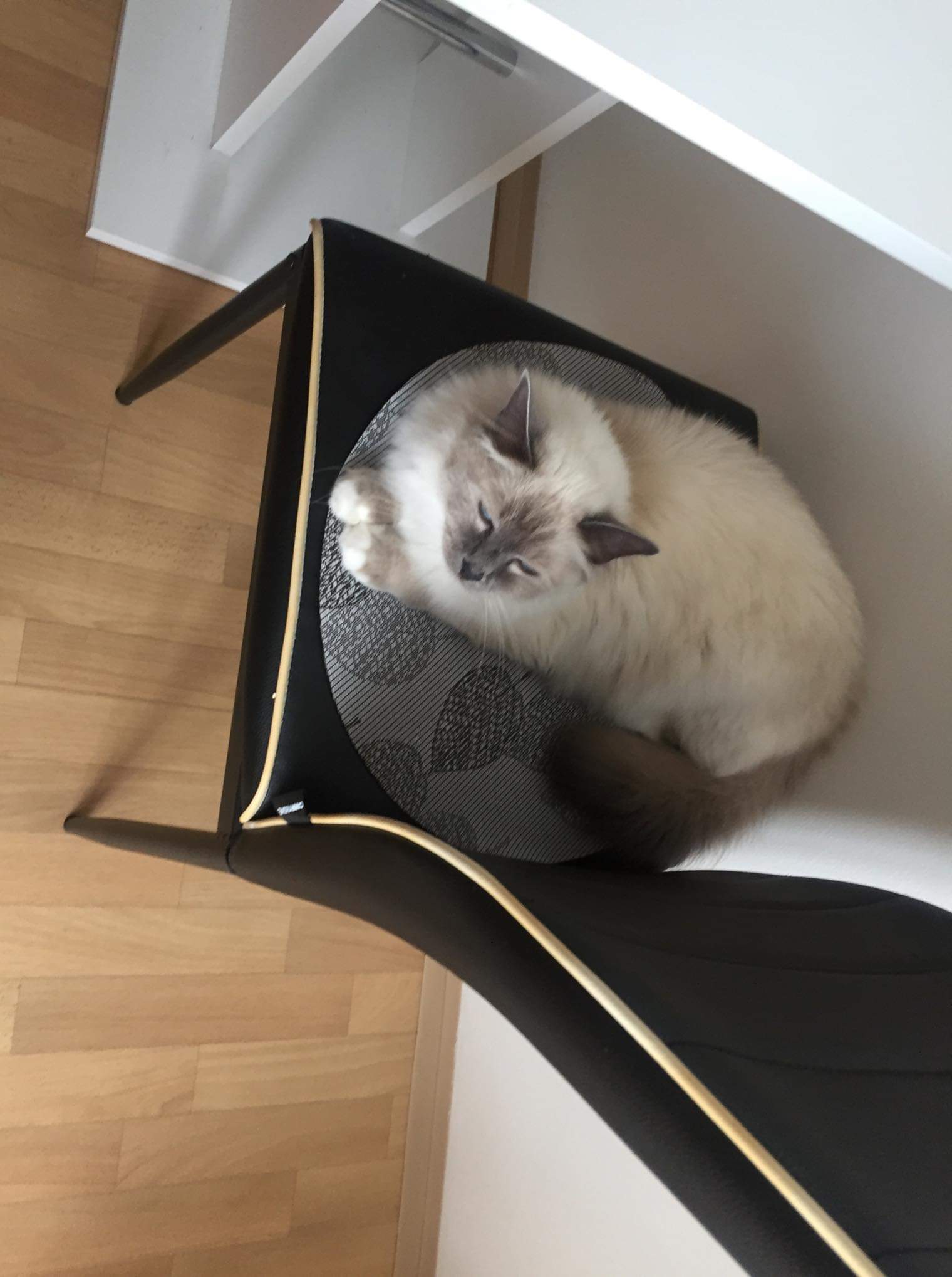 received_350032702333778