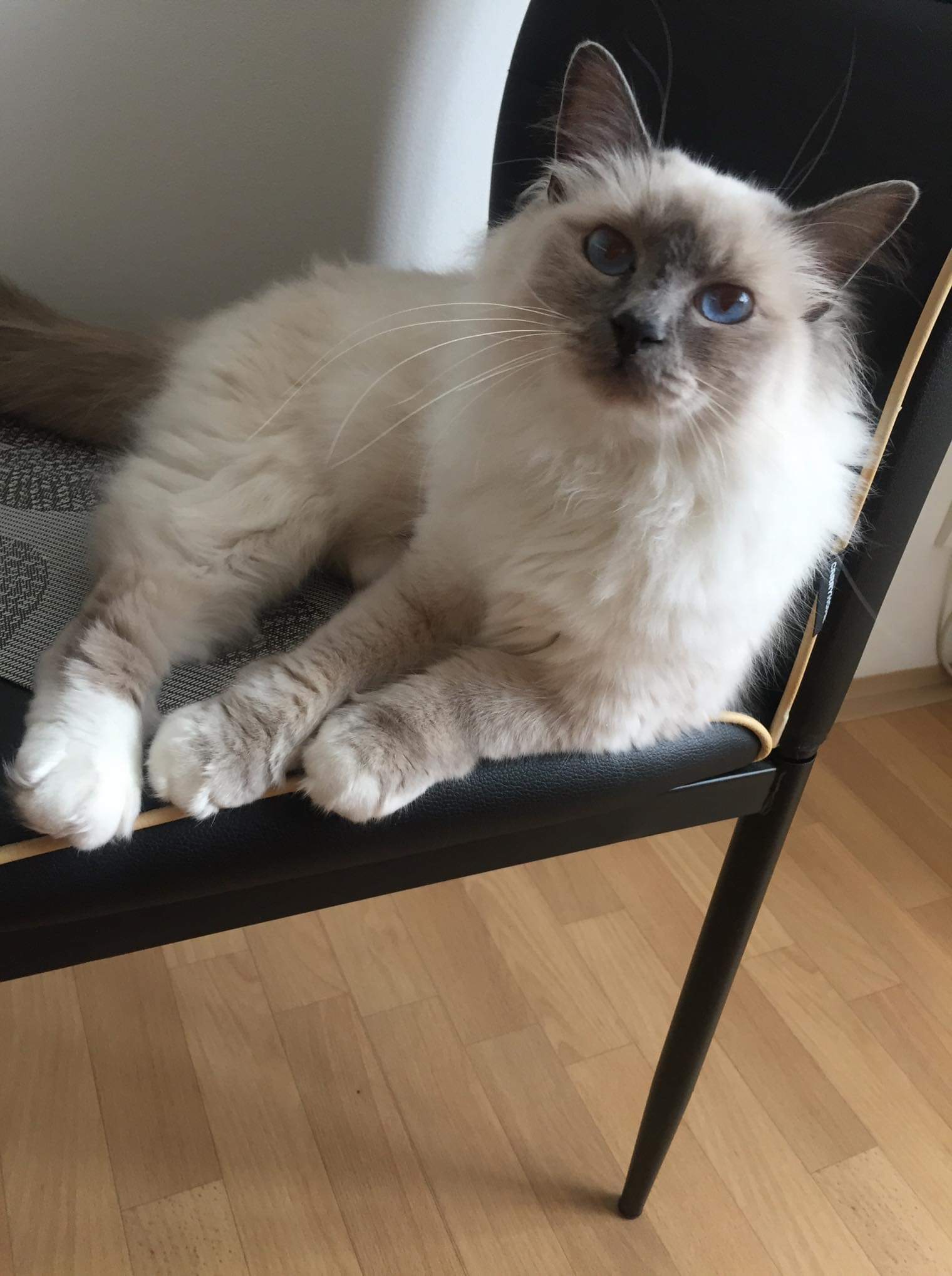 received_356247128374223