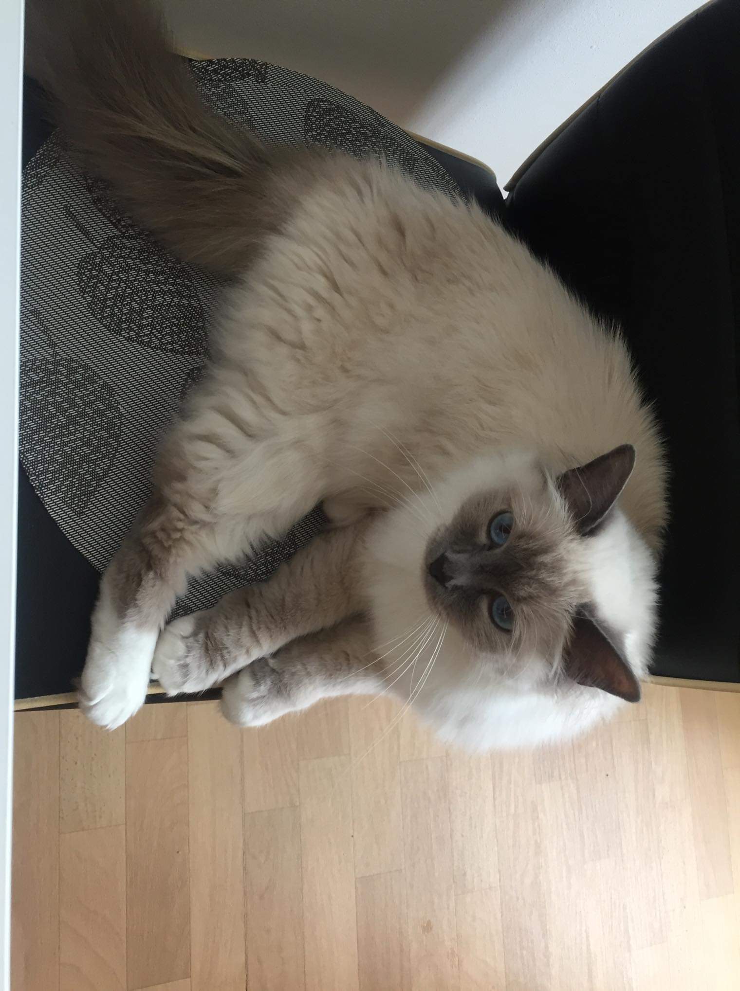 received_471572070076040