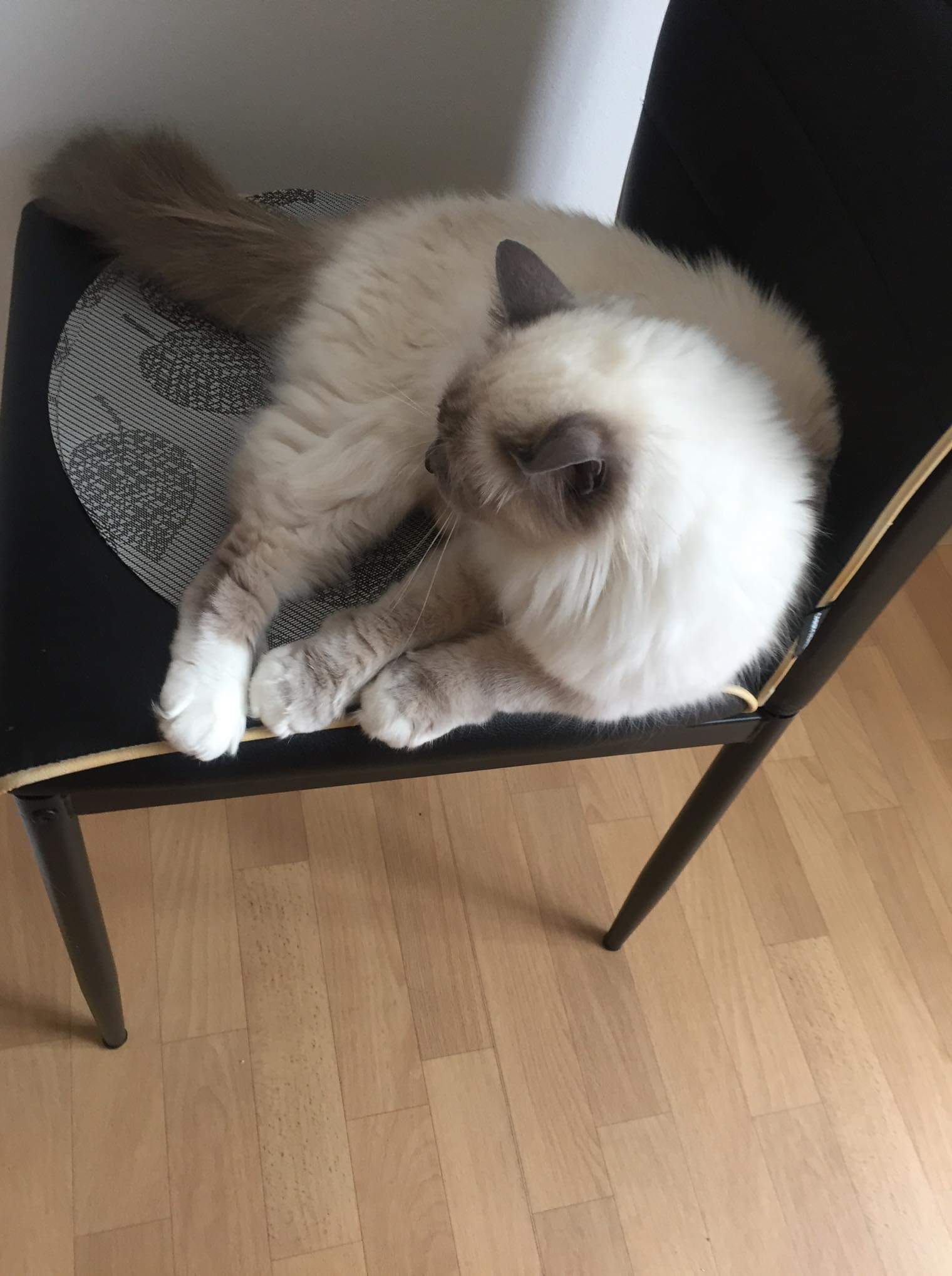 received_2288015344568292