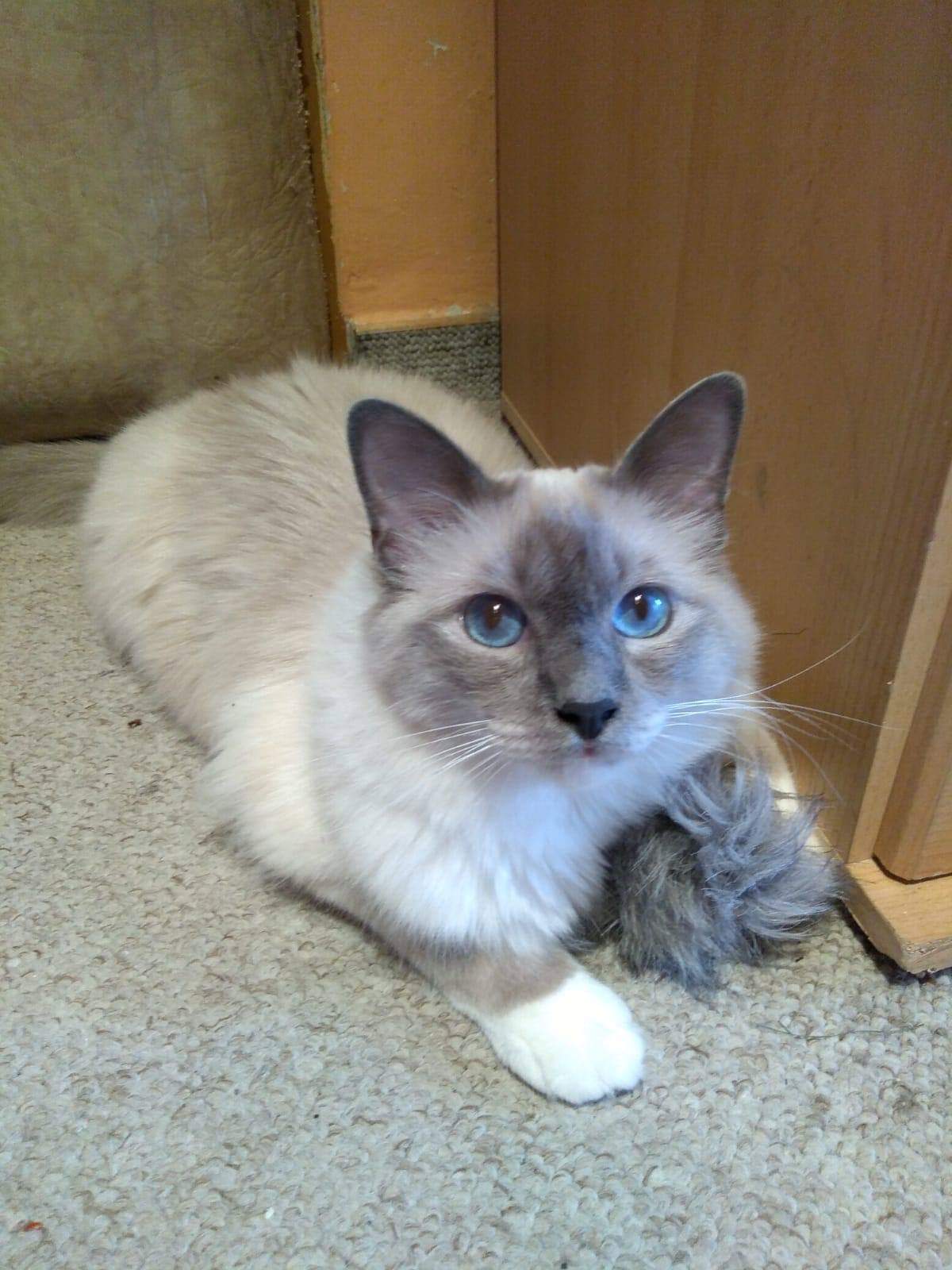 received_374317476602540