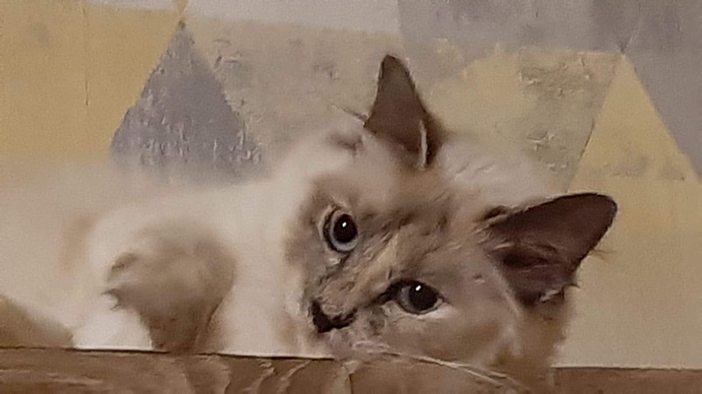 received_410027659629179