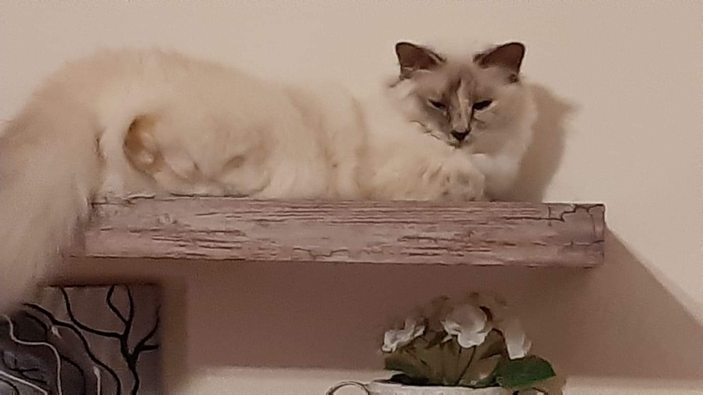 received_666667293843993