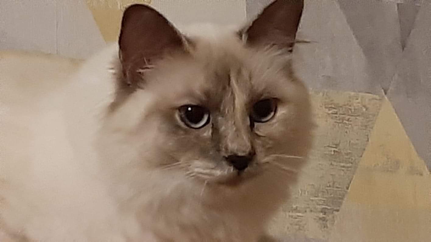 received_2655061107847070