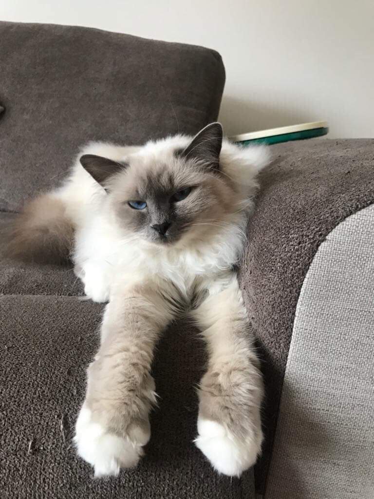 received_460127388185713