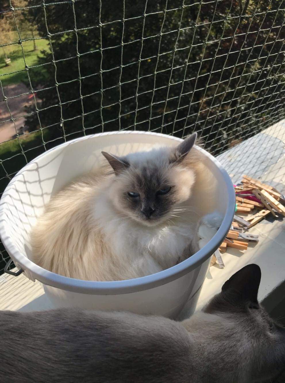 received_549846502512126