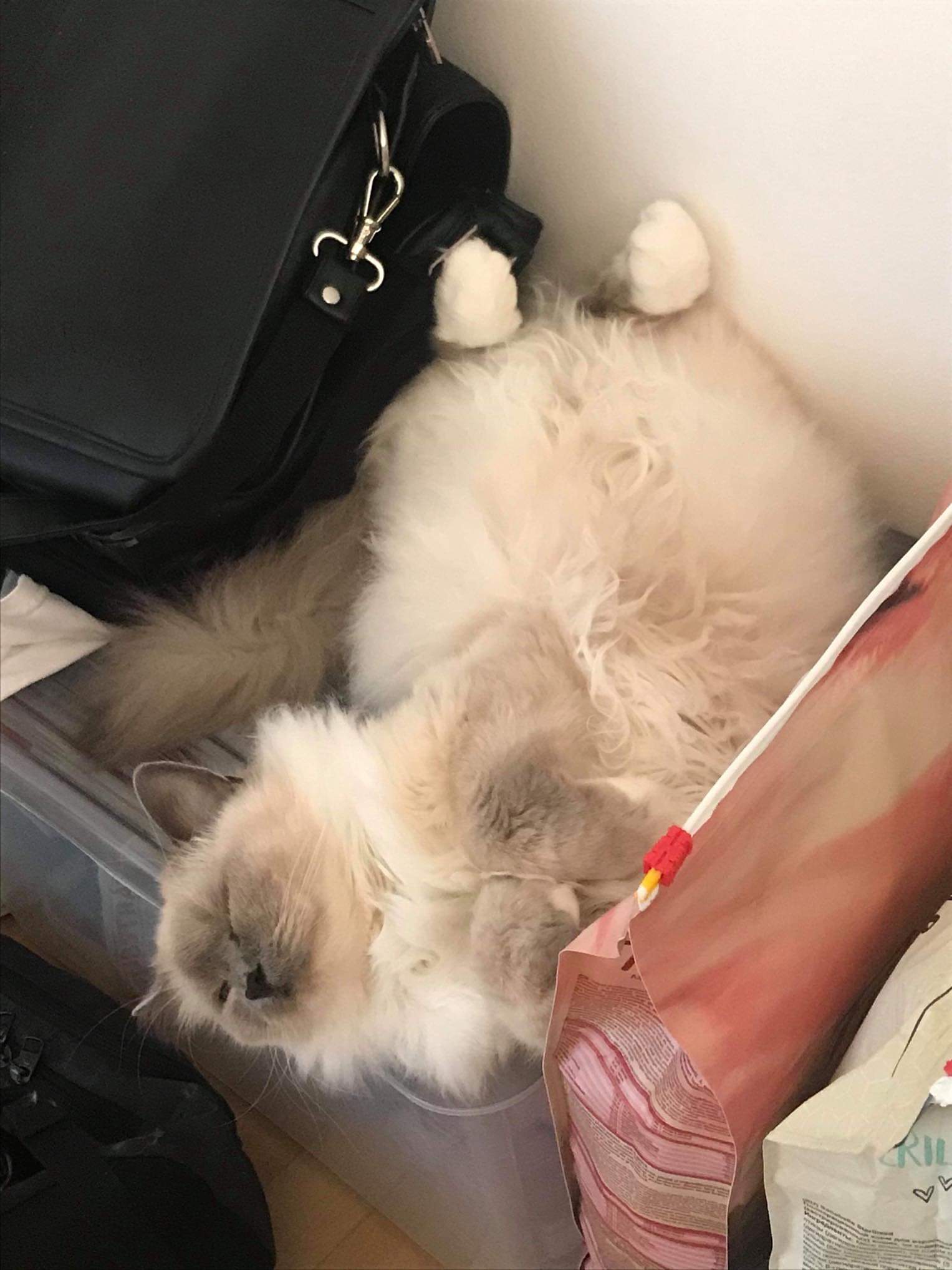 received_2351427091646923