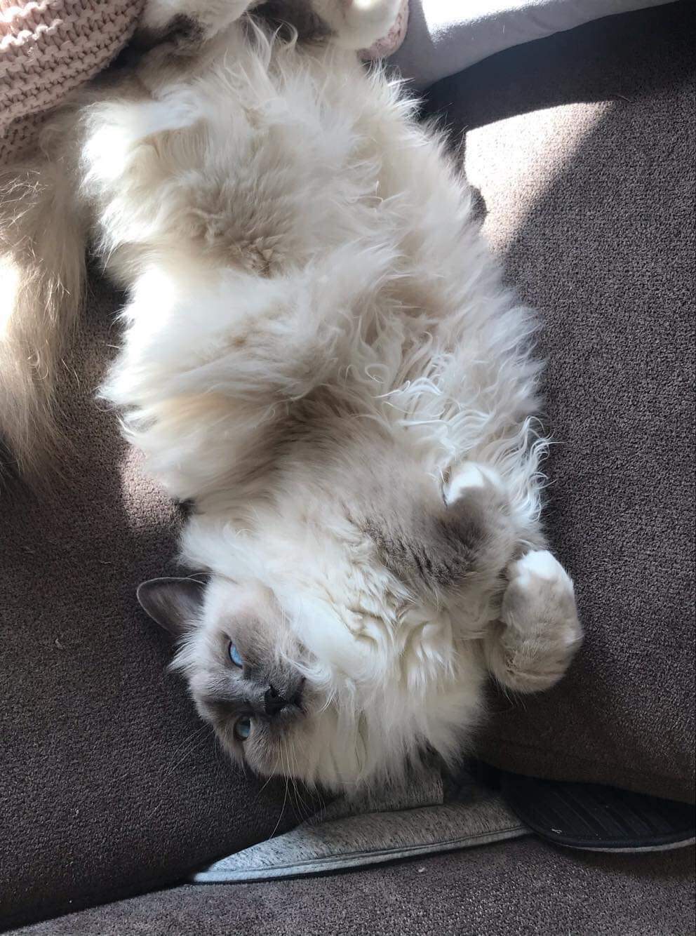 received_2821122401447517