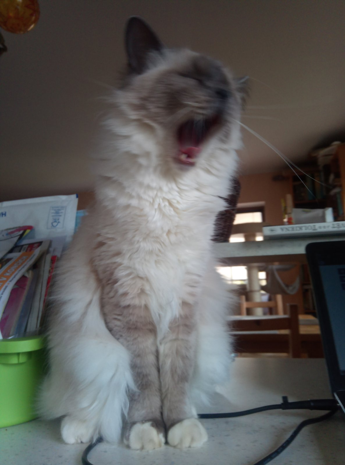 IMG-3cb654849f7658d2dcd26c37608a7ef3-V