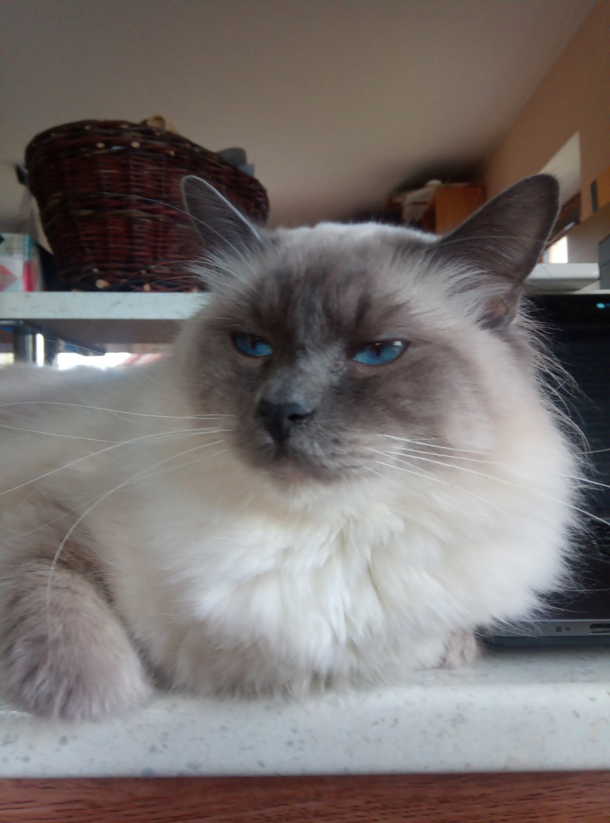 IMG-caac503676fa71ba63c18f42aa09c24b-V