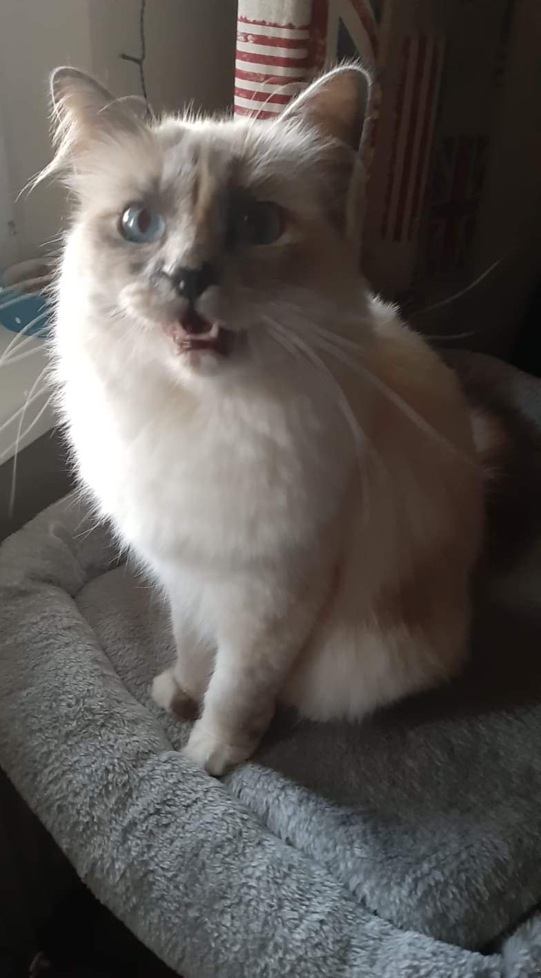 received_732833787197082