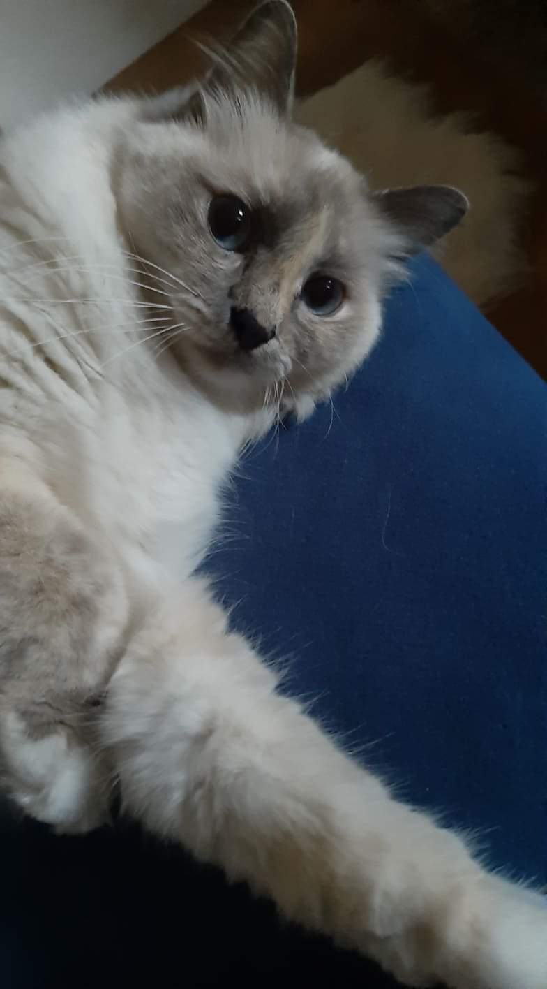 received_2319694705000359